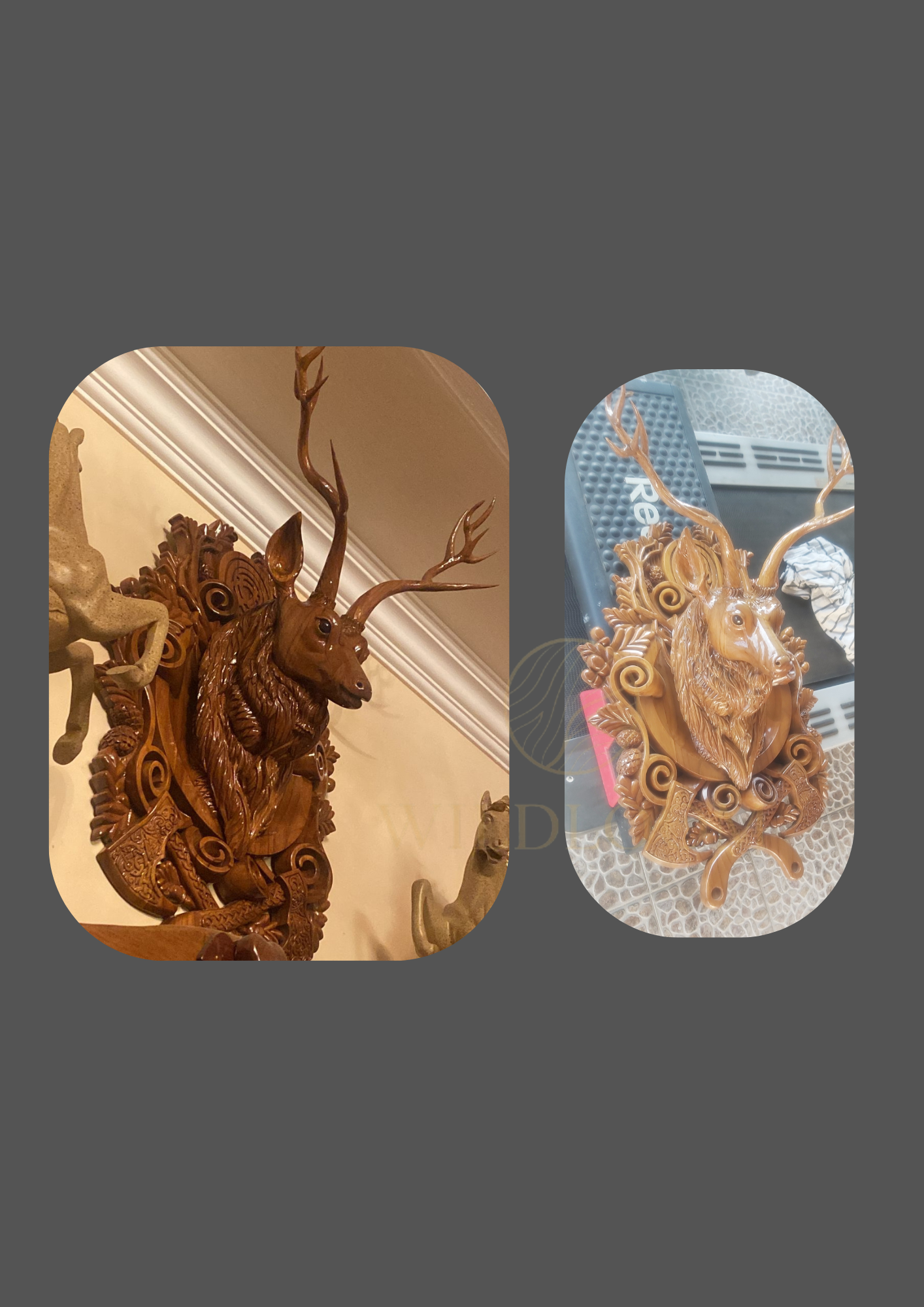 A forest guardian by Danish Khan