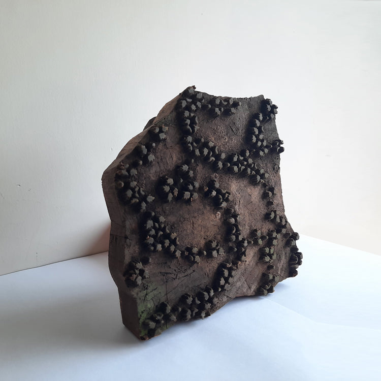 Bagru wooden block: artistry from Rajasthan