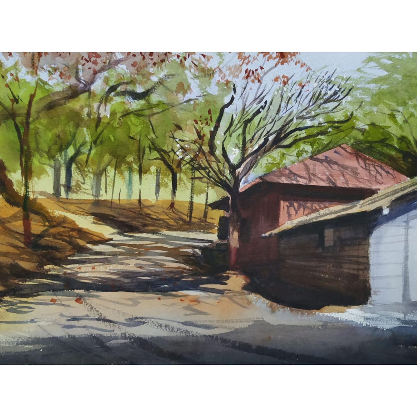 Water Color Handmade Painting 11 X 18 Inch - (House150)