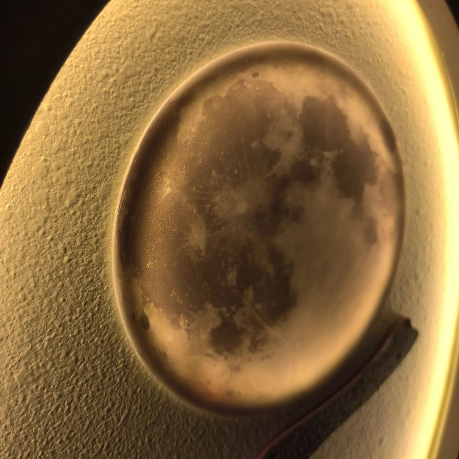 3d wall art MDF LED elephant moon close up moon texture detail