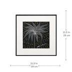 Dimension chart showing 11.5 x 11.5 inch size of Kalpataru framed wall art
