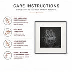 Infographic with icons for sunlight, dusting, moisture, and handling care tips
