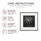 Infographic with icons for sunlight, dusting, moisture, and handling care tips
