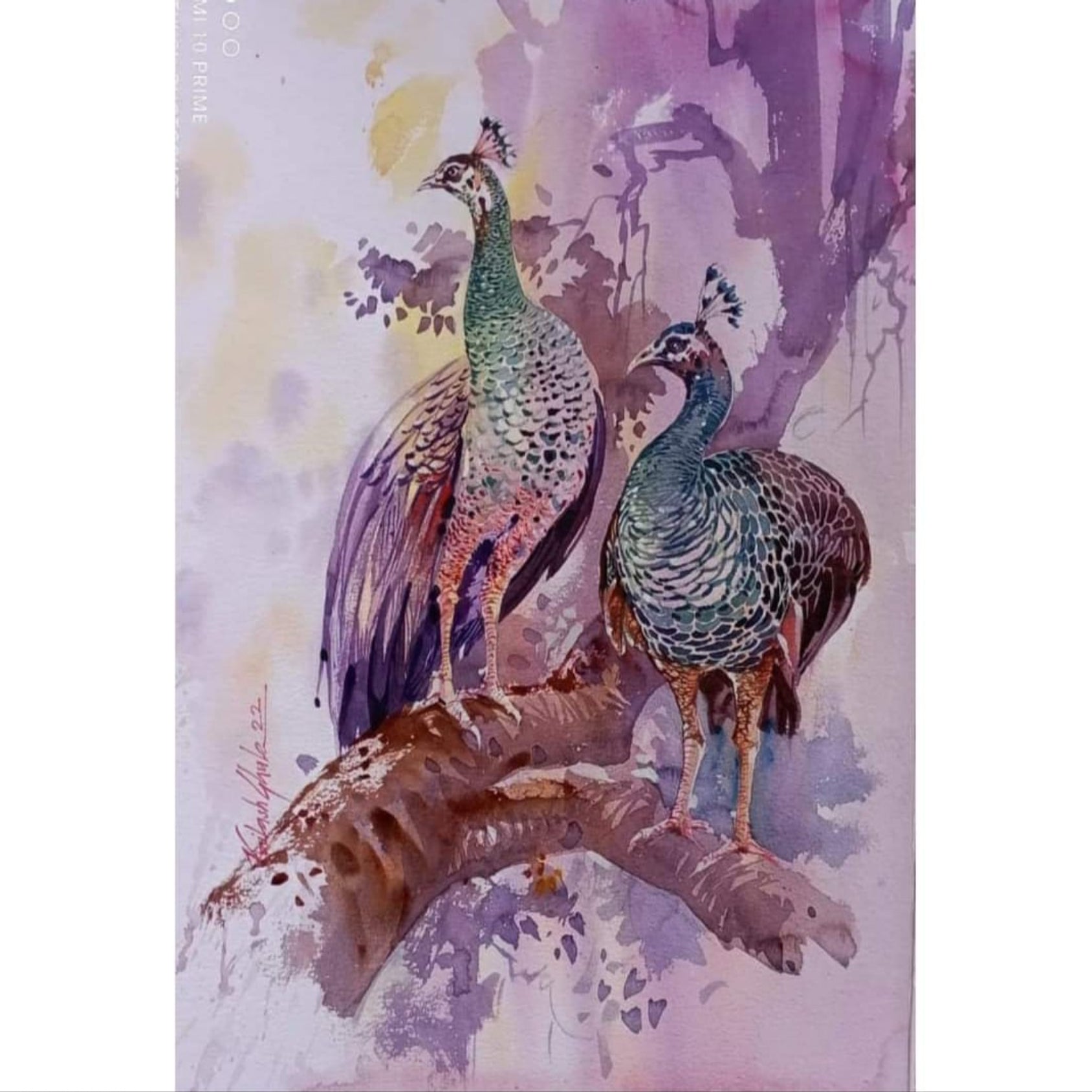 Water Color Handmade Painting 11 X 18 Inch - (Bird58)
